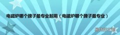 电磁炉哪个牌子最专业 电磁炉哪个牌子最专业耐用