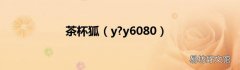 y?y6080 茶杯狐