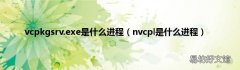nvcpl是什么进程 vcpkgsrv.exe是什么进程
