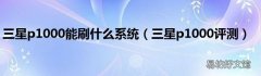 三星p1000评测 三星p1000能刷什么系统