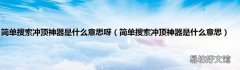 简单搜索冲顶神器是什么意思 简单搜索冲顶神器是什么意思呀