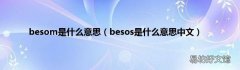 besos是什么意思中文 besom是什么意思