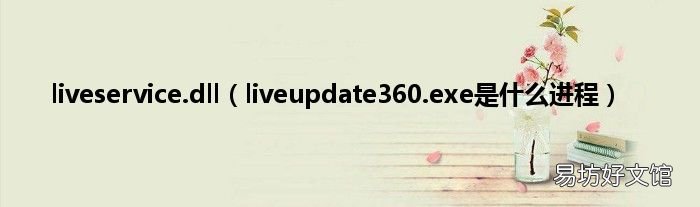 liveupdate360.exe是什么进程 liveservice.dll