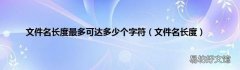 文件名长度 文件名长度最多可达多少个字符