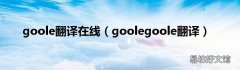 goolegoole翻译 goole翻译在线