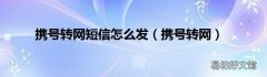 携号转网 携号转网短信怎么发
