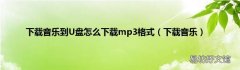 下载音乐 下载音乐到U盘怎么下载mp3格式
