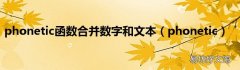 phonetic phonetic函数合并数字和文本