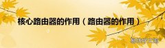 路由器的作用 核心路由器的作用