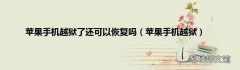 苹果手机越狱 苹果手机越狱了还可以恢复吗