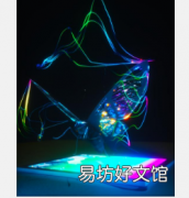 蝴蝶如何帮助科学家检测癌症
