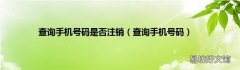 查询手机号码 查询手机号码是否注销