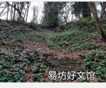 山体滑坡的新日期揭示了过去西雅图断层