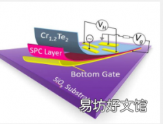 在范德华铁磁体Cr12Te2纳米片中实现栅极诱导室温磁相变