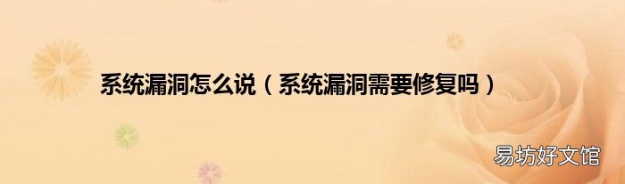 系统漏洞需要修复吗 系统漏洞怎么说