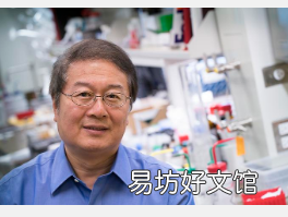 普渡大学的药物化合物对癌细胞敲响钟并释放T细胞