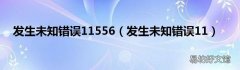 发生未知错误11 发生未知错误11556