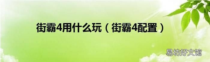 街霸4配置 街霸4用什么玩