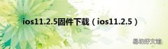 ios11.2.5 ios11.2.5固件下载