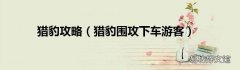 猎豹围攻下车游客 猎豹攻略