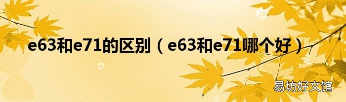 e63和e71哪个好 e63和e71的区别