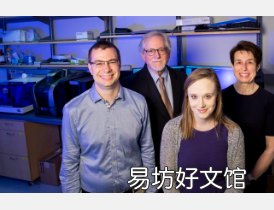 研究将基因网络和胰腺β细胞缺陷与2型糖尿病联系起来
