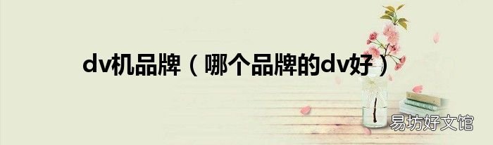 哪个品牌的dv好 dv机品牌