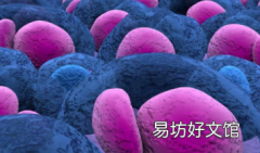 稳健的评分可以识别新诊断的多发性骨髓瘤的感染风险