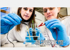 电子土壤促进作物生长
