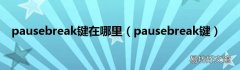 pausebreak键 pausebreak键在哪里