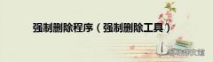 强制删除工具 强制删除程序
