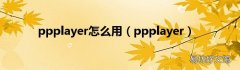 ppplayer ppplayer怎么用
