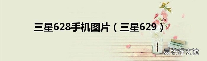 三星629 三星628手机图片