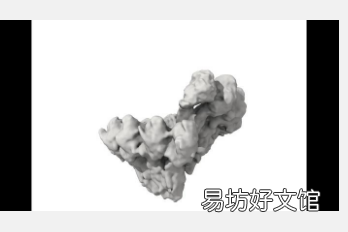 研究人员以前所未有的细节对微管形成进行了成像