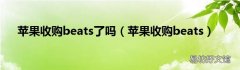 苹果收购beats 苹果收购beats了吗