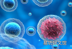 在癌症治疗中新证据表明邻里关系很重要