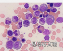 研究人员揭示了原子核神秘形状背后的机制