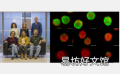 新开发的治疗策略为治疗1型神经纤维瘤皮肤肿瘤提供了潜力