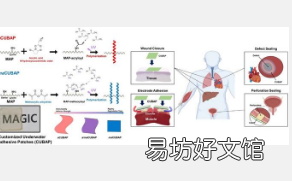 用于内在愈合的个性化粘合剂现在专为您量身定制