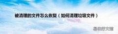 如何清理垃圾文件 被清理的文件怎么恢复