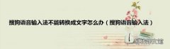 搜狗语音输入法 搜狗语音输入法不能转换成文字怎么办