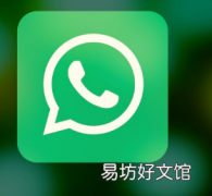 视频展示了第三方聊天如何在WhatsApp上运行