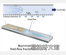 用于二氧化硅尺寸依赖性细胞性分析的先进系统