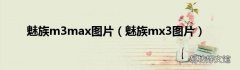 魅族mx3图片 魅族m3max图片