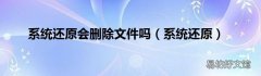 系统还原 系统还原会删除文件吗