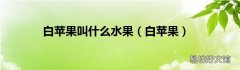 白苹果 白苹果叫什么水果