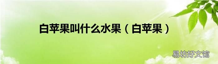 白蘋果 白蘋果叫什么水果