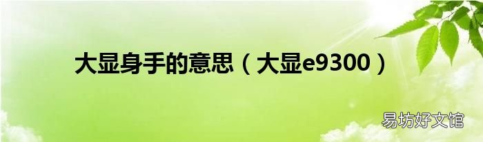 大显e9300 大显身手的意思