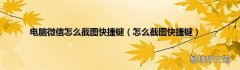 怎么截图快捷键 电脑微信怎么截图快捷键