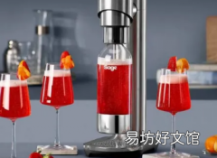 Sage的新款InFizz Fusion起泡饮料机是今年夏天的必备小工具
